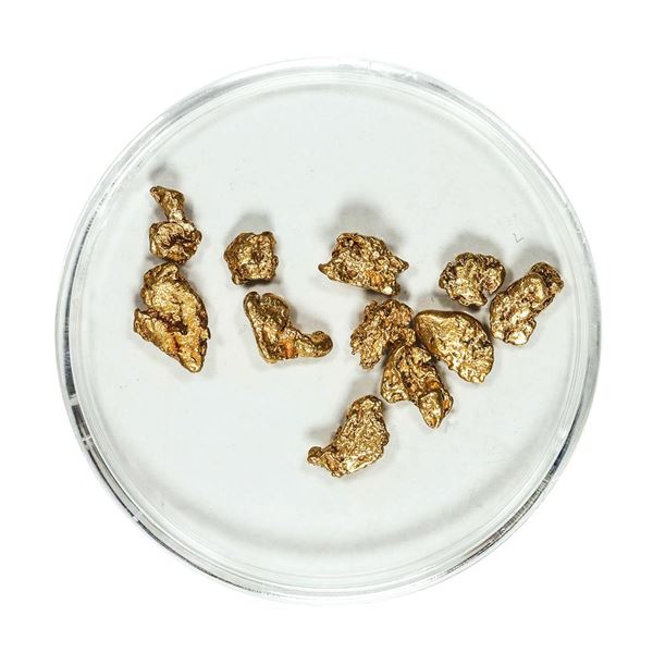 Gold Nuggets 3.85 Grams Total Weight