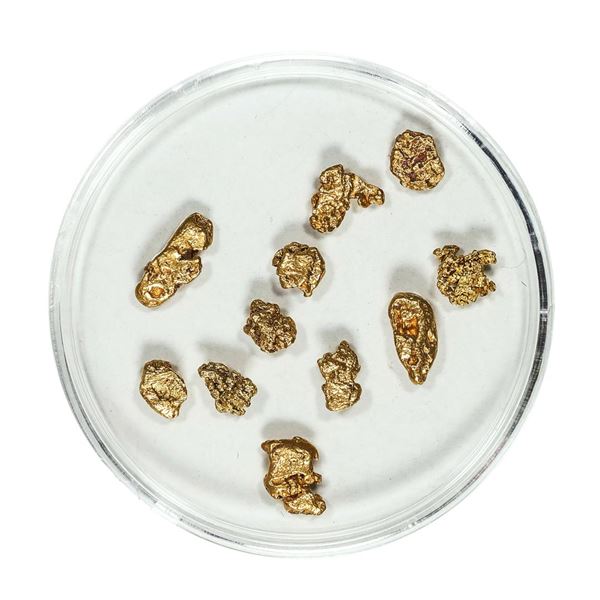 Gold Nuggets 3.37 Grams Total Weight