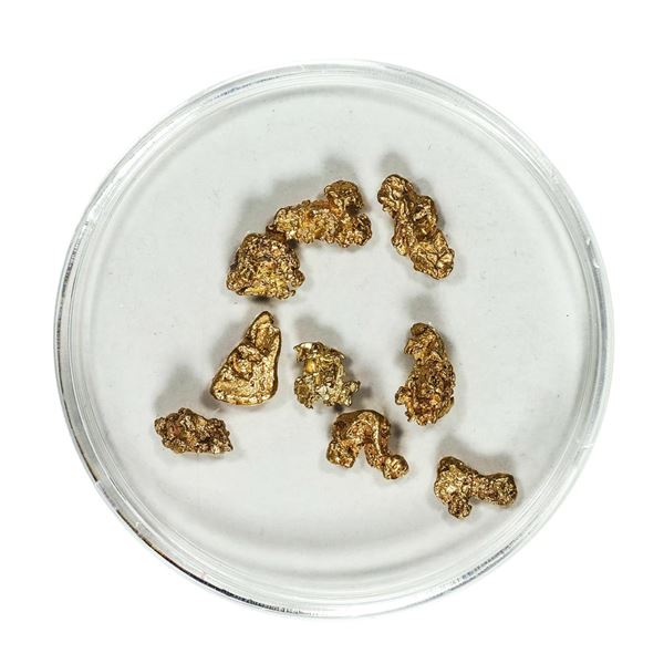 Gold Nuggets 2.83 Grams Total Weight