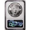 Image 2 : 2021(P) Type 1 $1 American Silver Eagle Coin NGC MS70 Struck at Philadelphia