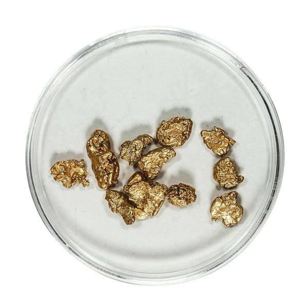 Gold Nuggets 3.53 Grams Total Weight