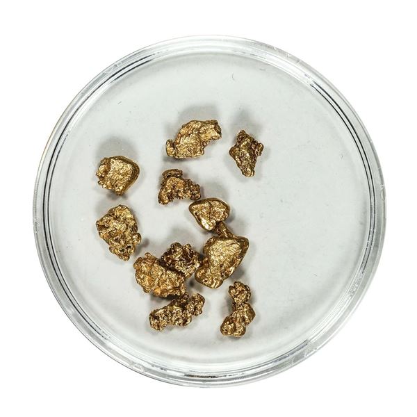 Gold Nuggets 3.38 Grams Total Weight