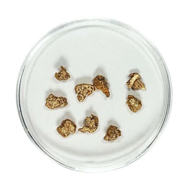 Gold Nuggets 2.22 Grams Total Weight