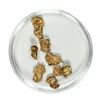 Image 1 : Gold Nuggets 2.61 Grams Total Weight