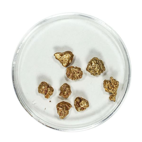 Gold Nuggets 4.73 Grams Total Weight