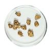 Image 1 : Gold Nuggets 3.40 Grams Total Weight