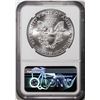 Image 2 : 2021(P) Type 1 $1 American Silver Eagle Coin NGC MS70 Early Releases Philadelphia