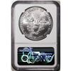 Image 2 : 2021(P) Type 1 $1 American Silver Eagle Coin NGC MS70 Struck at Philadelphia