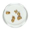 Image 1 : Gold Nuggets 1.95 Grams Total Weight