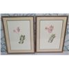 Image 1 : Qty 2 Leaf Artwork, Framed & Matted, 19"x25"