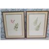 Image 1 : Qty 2 Leaf Artwork, Framed & Matted, 19"x25"
