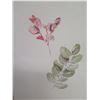 Image 2 : Qty 2 Leaf Artwork, Framed & Matted, 19"x25"