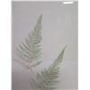 Image 4 : Qty 2 Leaf Artwork, Framed & Matted, 19"x25"