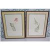 Image 1 : Qty 2 Leaf Artwork, Framed & Matted, 19"x25"