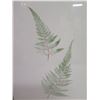 Image 4 : Qty 2 Leaf Artwork, Framed & Matted, 19"x25"