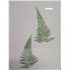 Image 4 : Qty 2 Leaf Artwork, Framed & Matted, 19"x25"