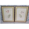 Image 1 : Qty 2 Leaf Print Artwork, Framed & Matted 19"x25"