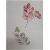 Image 2 : Qty 2 Leaf Print Artwork, Framed & Matted 19"x25"
