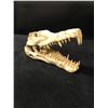 Image 1 : LIKE NEW EXO TERRA ENCLOSURE GATOR SKULL