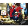 Image 1 : Stan Lee signed Spider Man 16 x 20 (frozen pond coa)
