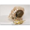 Image 3 : Seashell Television Lamp