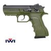 Image 1 : IWI JERICHO 941 9MM 3.8" ENHANCED FS 17RD ODG