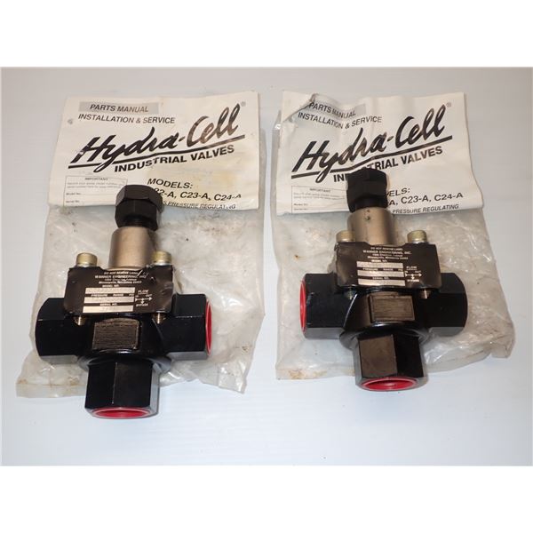 (2) New - Wanner Engineering #C24ABBNRRNH Hydra-Cell Industrial Valves