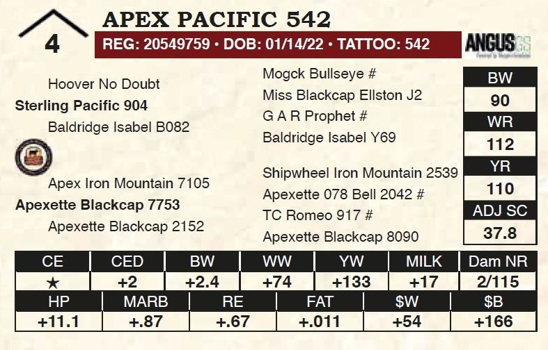 Apex Pacific 542