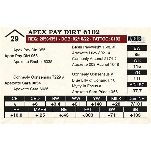 Apex Pay Dirt 6102