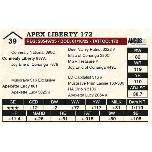 Apex Liberty 172