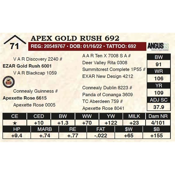 Apex Gold Rush 692