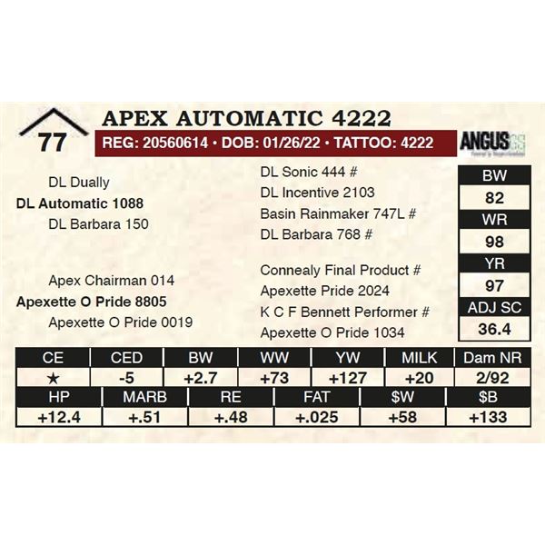 Apex Automatic 4222