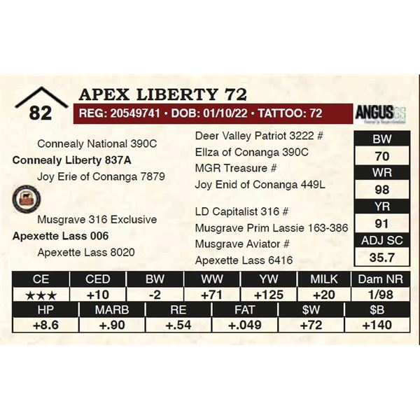 Apex Liberty 72