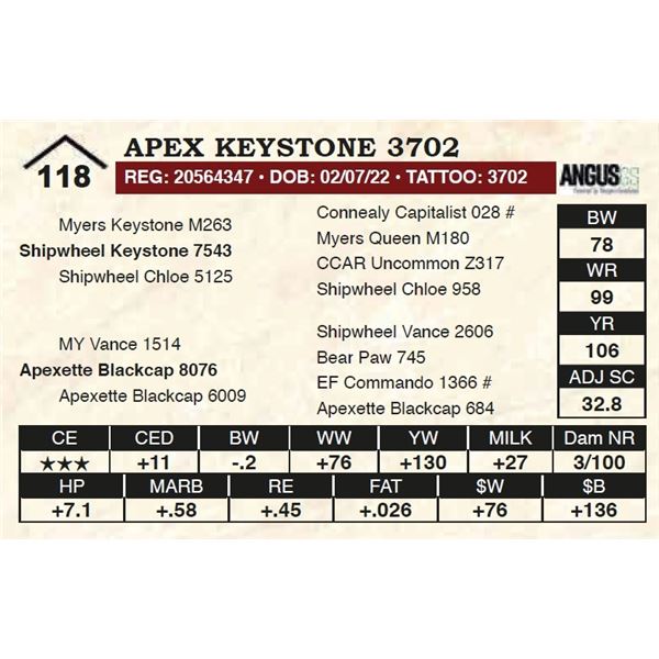 Apex Keystone 3702