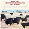 Image 1 : 160 Open Heifers