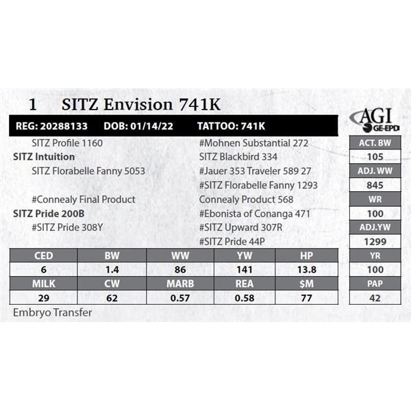 SITZ Envision 741K