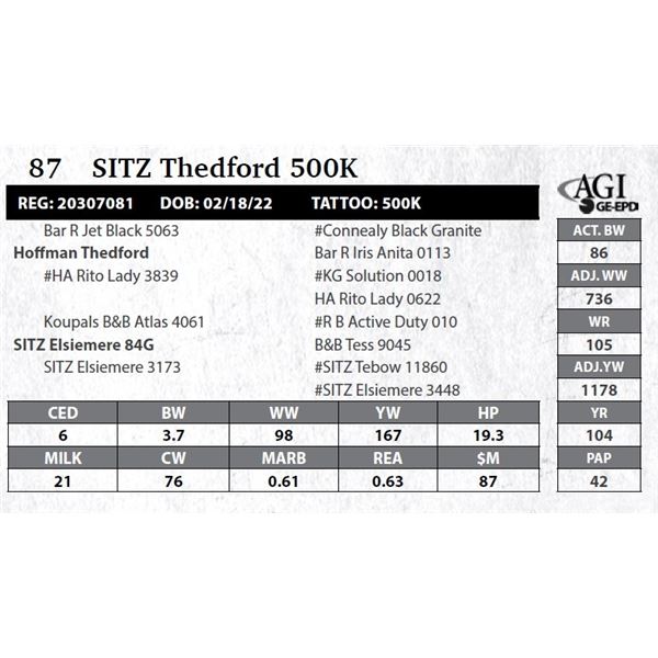 SITZ Thedford 500K