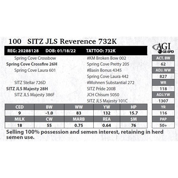 SITZ Reverence 732K