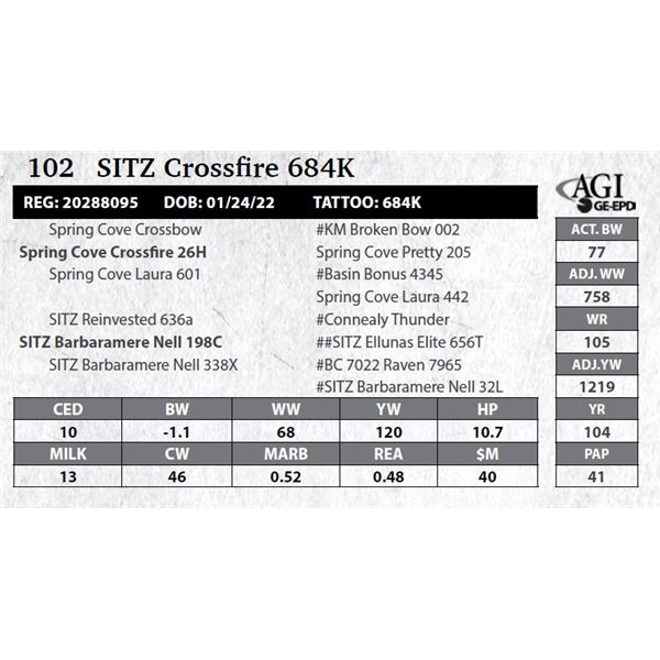Sitz Crossfire 684K