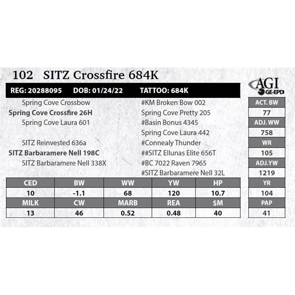 Sitz Crossfire 684K