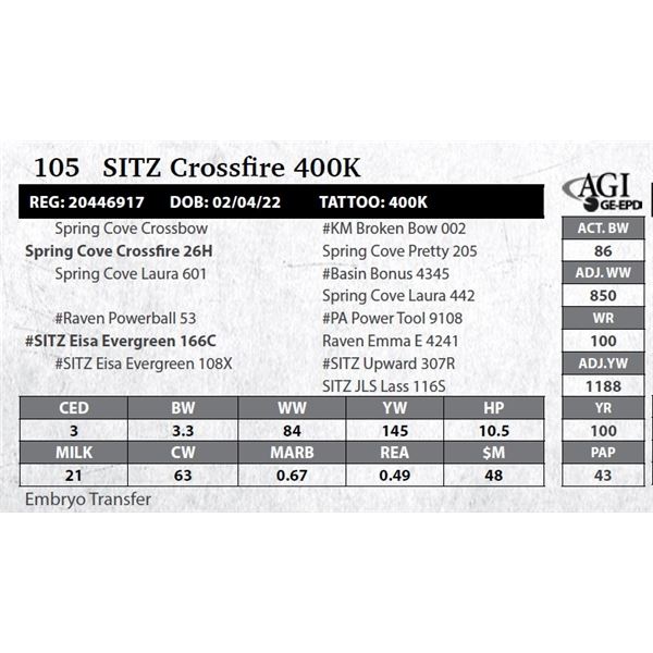 SITZ Crossfire 400K