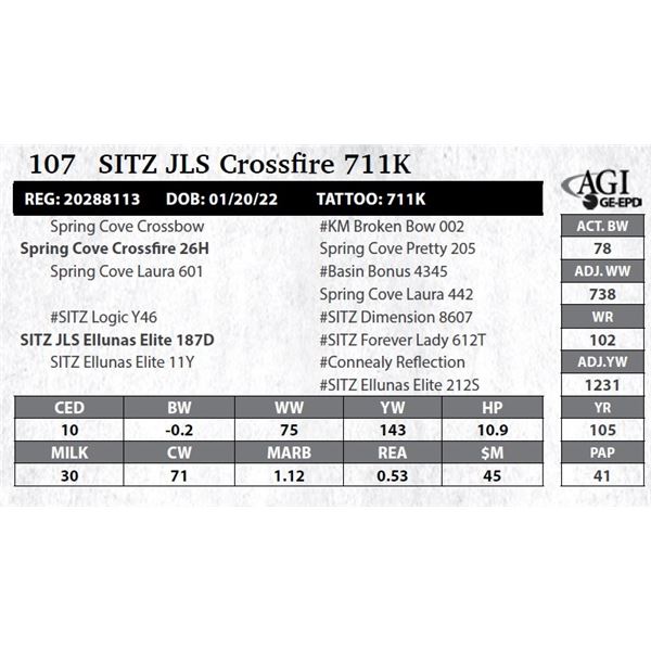 Sitz JLS Crossfire 711K