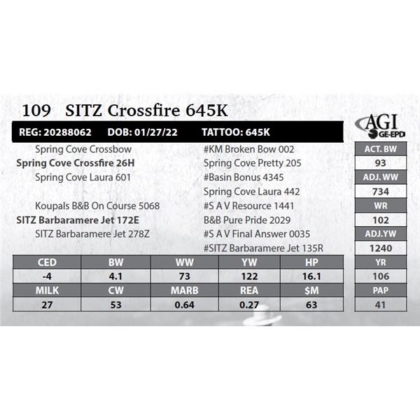 Sitz Crossfire 645K