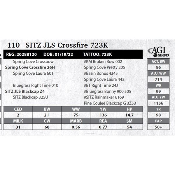 Sitz JLS Crossfire 723K