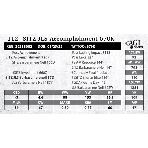 SITZ JLS Accomplishment 670K