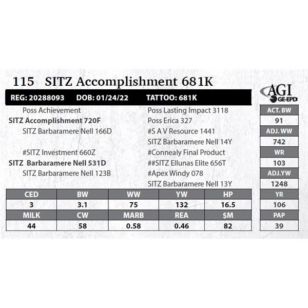 SITZ Accomplishment 681K