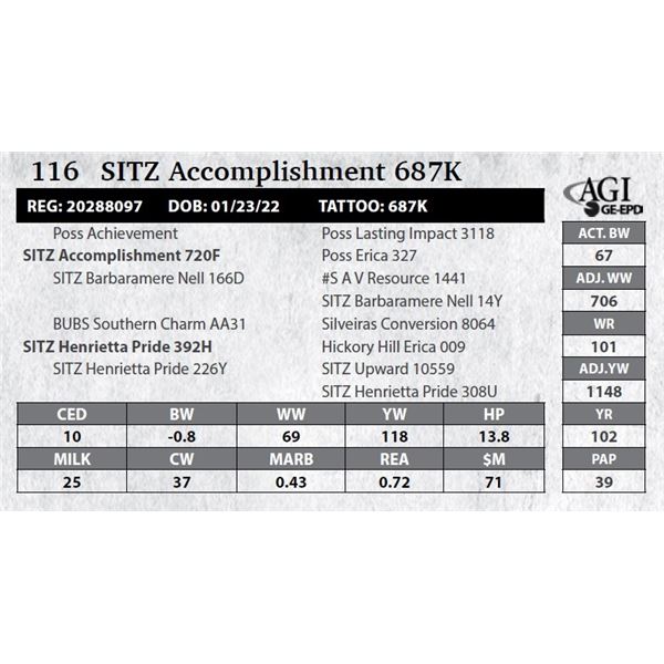 Sitz Accomplishment 687K