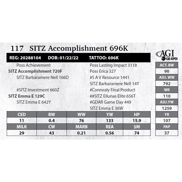 SITZ Accomplishment 696K