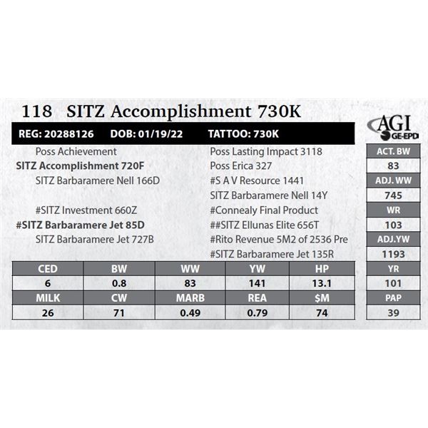 SITZ Accomplishment 730K