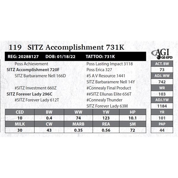 SITZ Accomplishment 731K